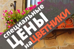 Специальные цены на цветники