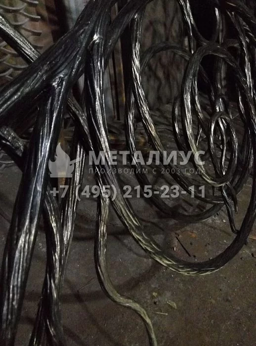 Работа 1029.Виноградная лоза