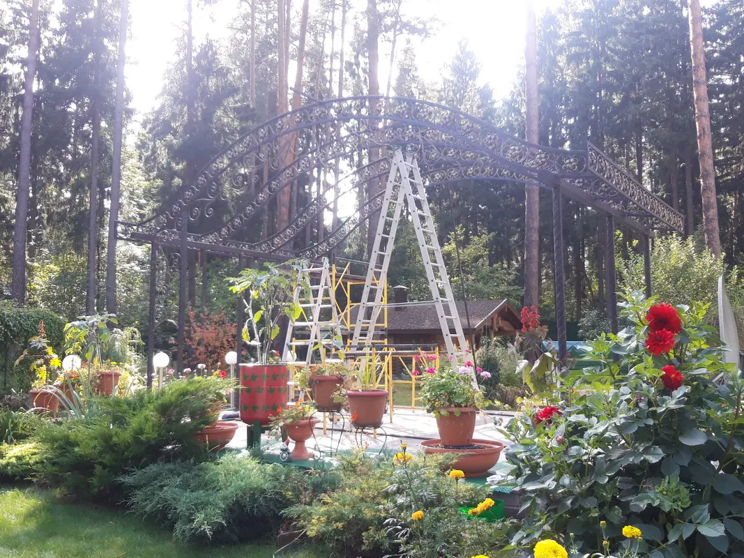 Работа №2263. Навес, Барвиха